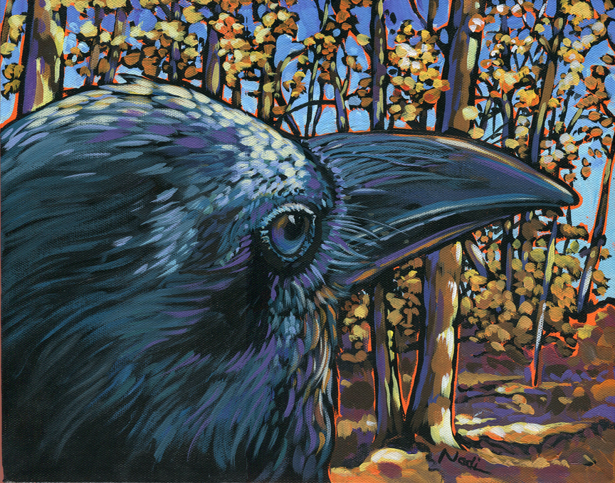 NS – Wildlife, Raven – 14-82 Raven Fall 11×14 © Nadi Spencer