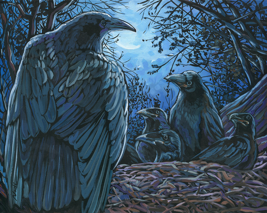 NS – Wildlife, Raven – 14-83 Raven Nest 16×20 © Nadi Spencer