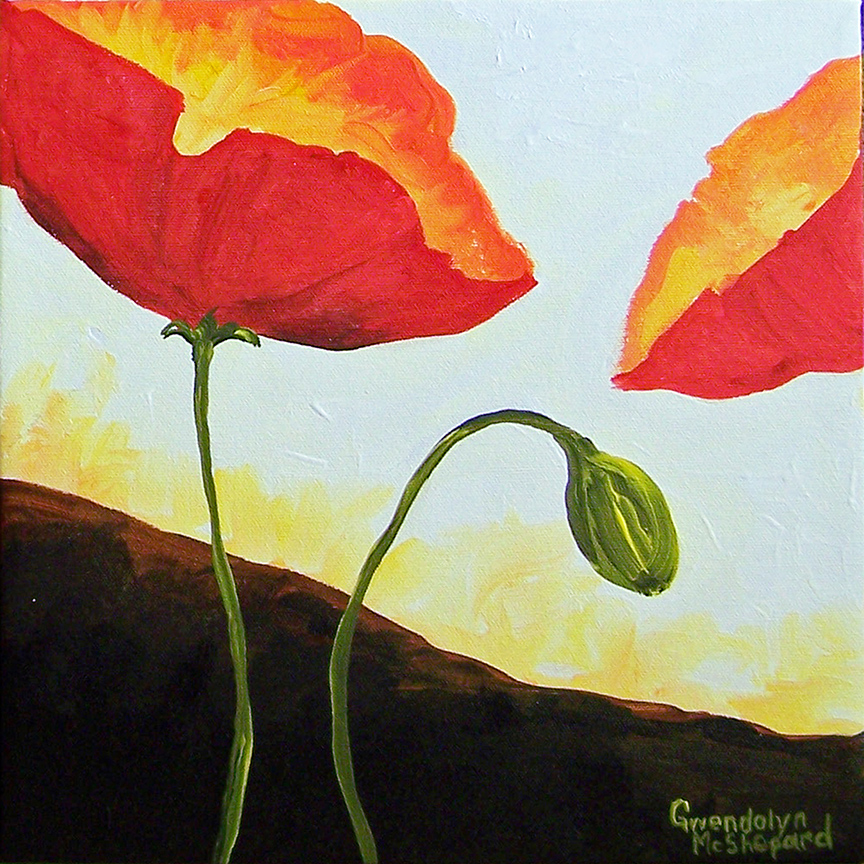 GM – Floral – Poppies 2 Sunrise © Gwendolyn McShepard