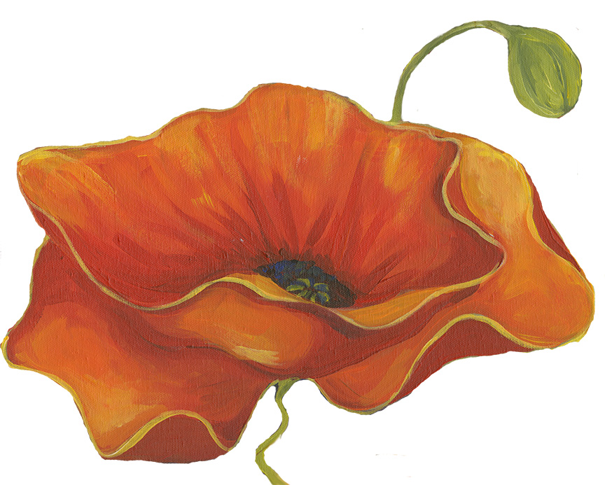 GM – Floral – Poppy 4 © Gwendolyn McShepard