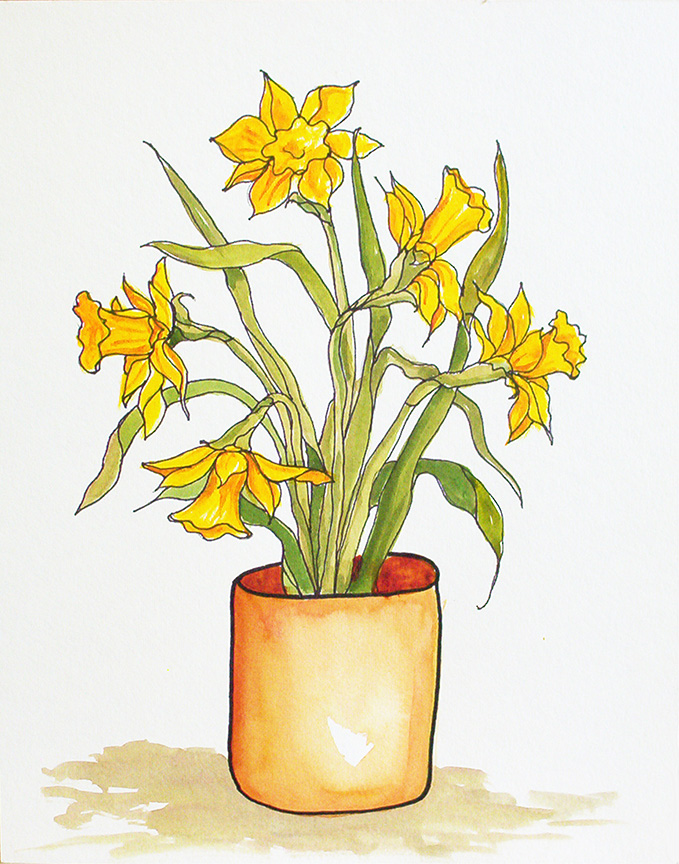 GM – Floral – SF Daffodils © Gwendolyn McShepard