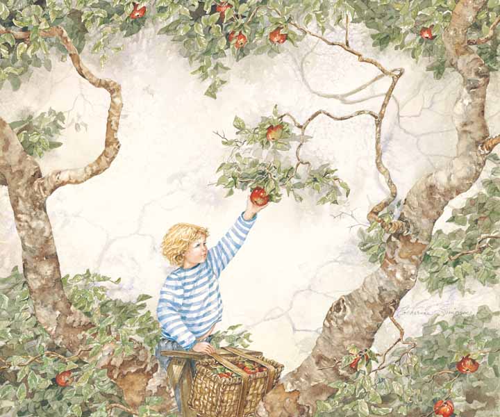 CS – Apple Picking © Catherine Simpson