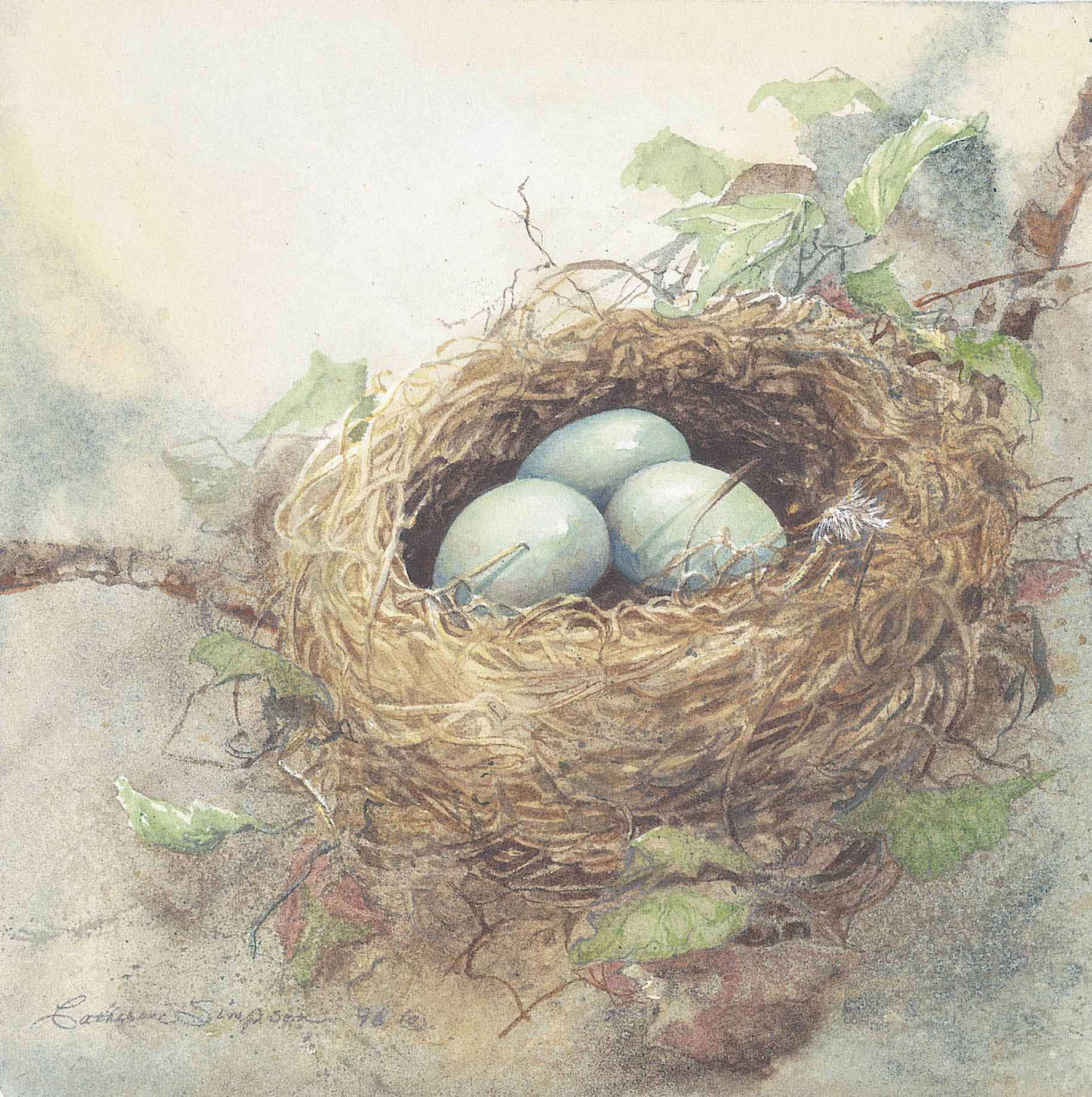 CS – Robins Nest © Catherine Simpson