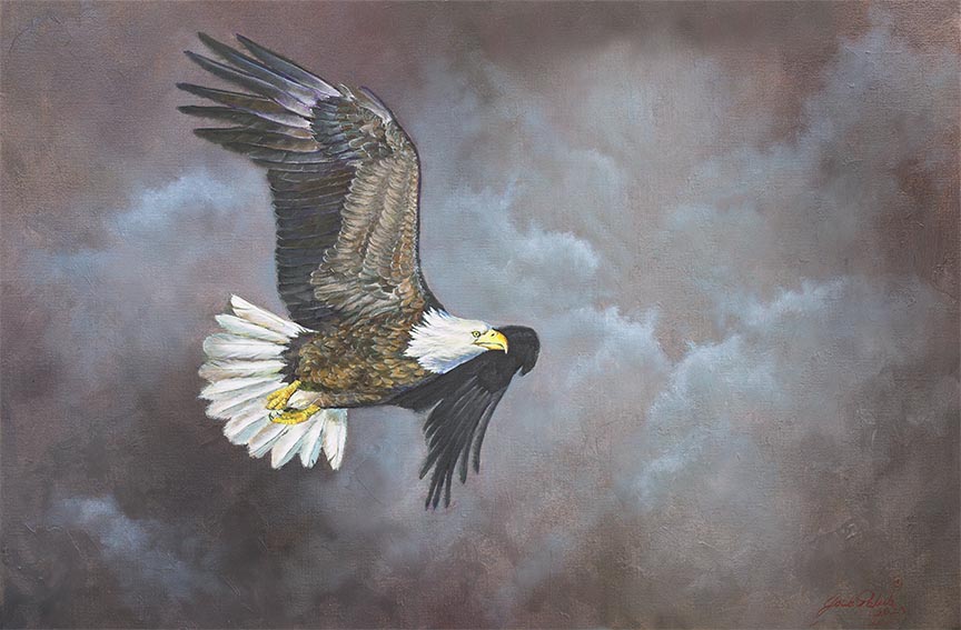 JP – 2On Eagles Wings © Jack Paluh