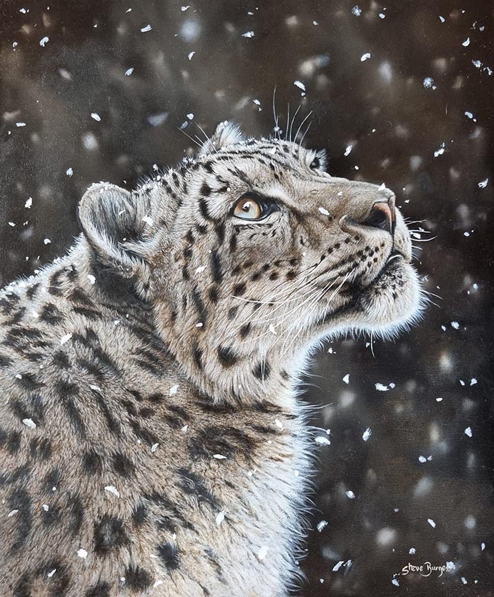 SB – Tranquility – Snow Leopard © Steve Burgess