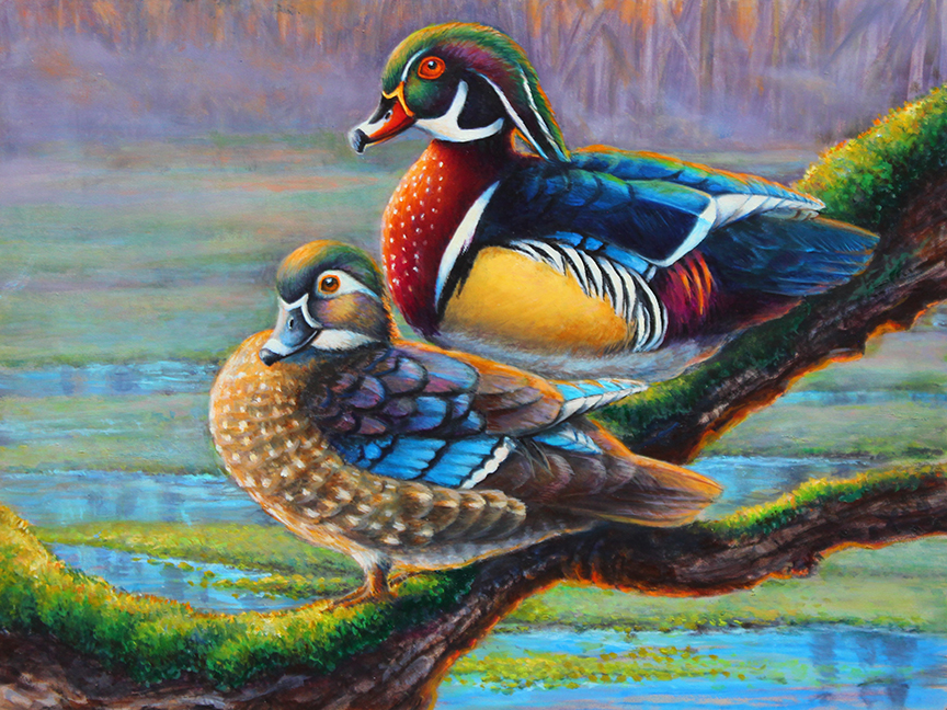 WM – Wood Ducks 2 © Wanda Mumm