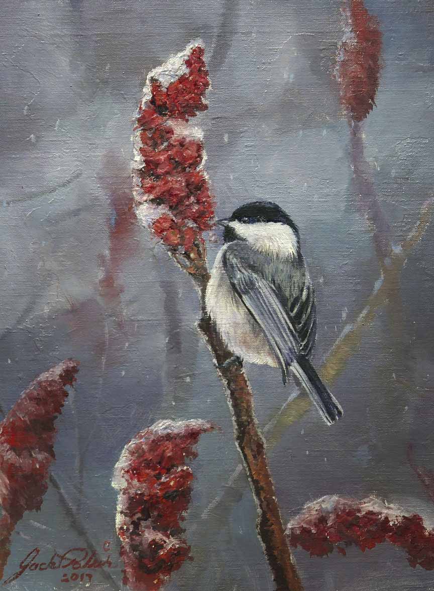 JP – 1 Chickadee © Jack Paluh