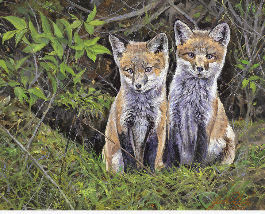 JP – 2 Fox Kits © Jack Paluh