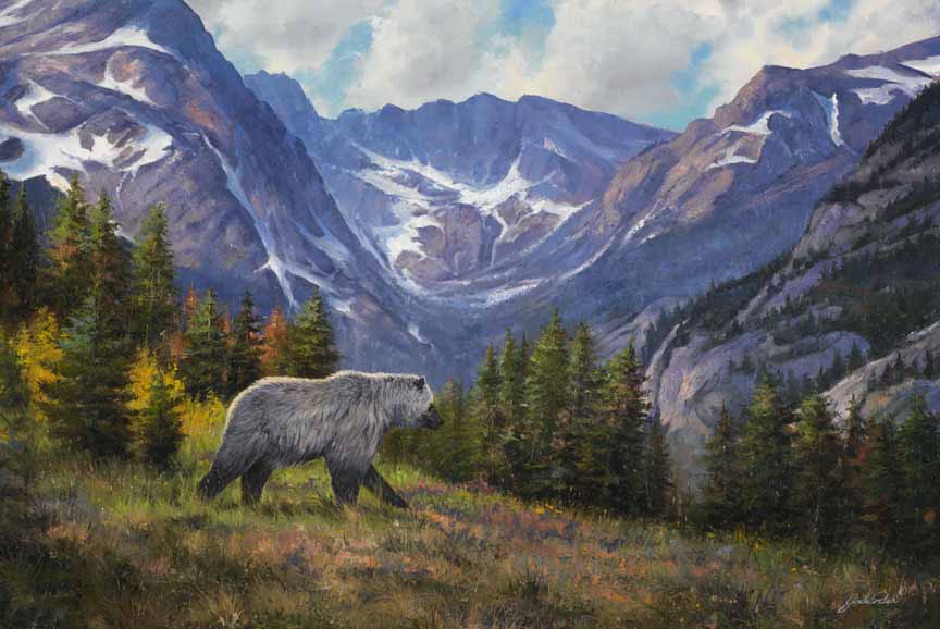 JP – 2 Rocky Mountain Grizzly © Jack Paluh