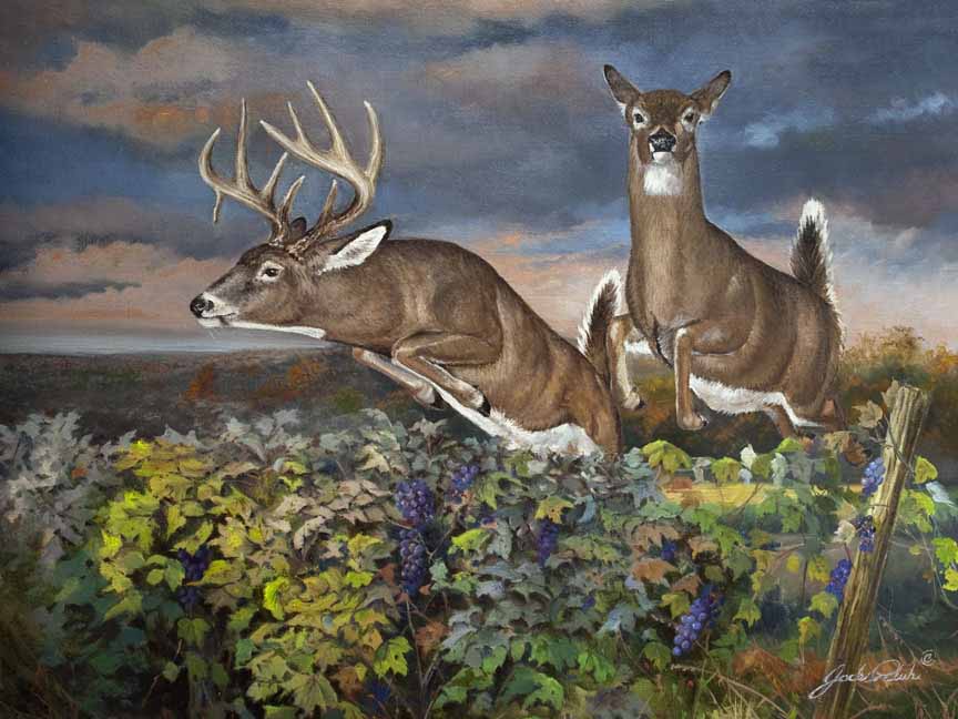 JP – 3 Deers Leap © Jack Paluh