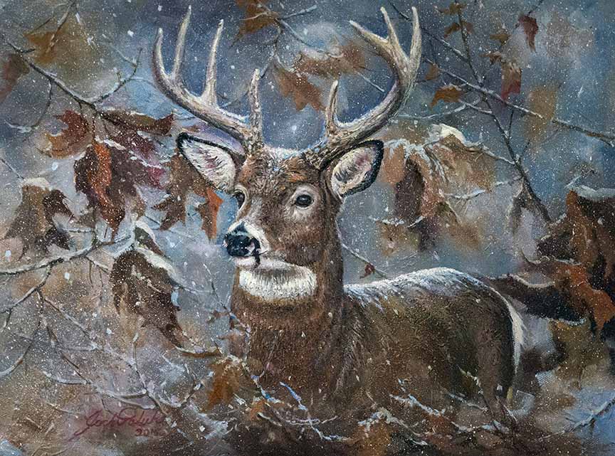 JP – 3 Snow Buck © Jack Paluh