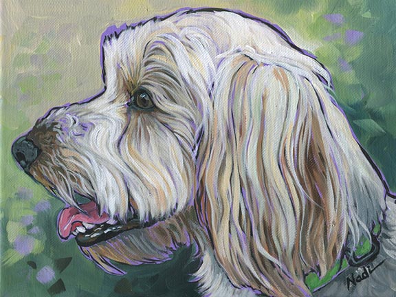 NS – Dogs – 16-112 Oliver 12×16 © Nadi Spencer