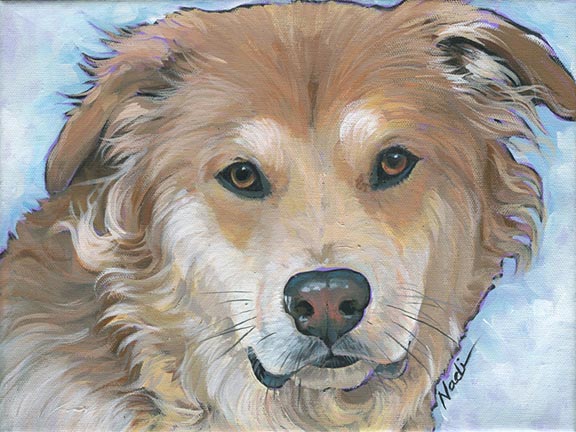 NS – Dogs – 21-114 Barney 9×12 © Nadi Spencer