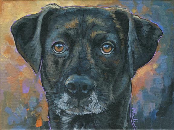 NS – Dogs – 21-99 Benny 9×12 © Nadi Spencer