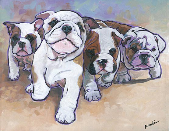 NS – Dogs, Bulldog, Puppies – 15-67 Bulldog Puppies 14×18 © Nadi Spencer