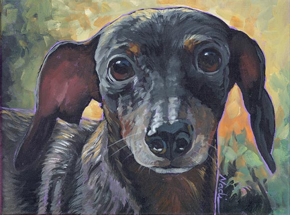 NS – Dogs, Dachsund – 22-114 Bandit 12×9 © Nadi Spencer