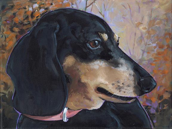 NS – Dogs, Dachsund – 23-82 Clara 9×12 © Nadi Spencer