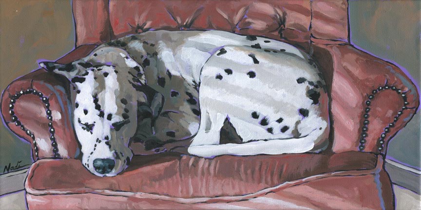 NS – Dogs, Dalmation – 18-160 Parker 8×16 © Nadi Spencer