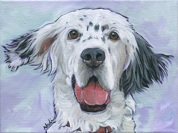 NS – Dogs, English Setter- 20-222 Bucky 12×9 © Nadi Spencer