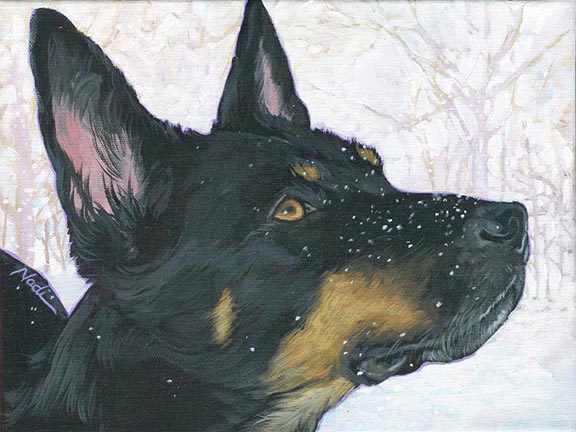 NS – Dogs, German Shepherd – 21-233 Shepherd 9×12 © Nadi Spencer