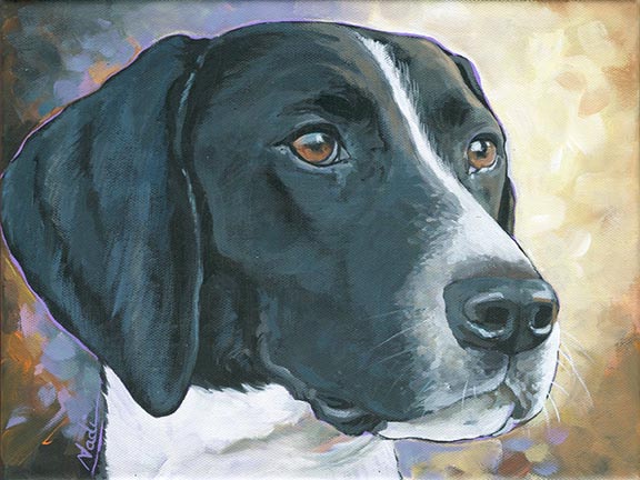 NS – Dogs, German Shorthaired Pointer – 21-50 Luna 12×9 © Nadi Spencer