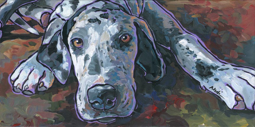 NS – Dogs, Great Dane – 13-34 Taylor 10×20 © Nadi Spencer