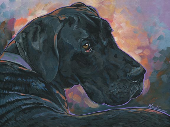 NS – Dogs, Great Dane – 15-383 Etta 12×16 © Nadi Spencer