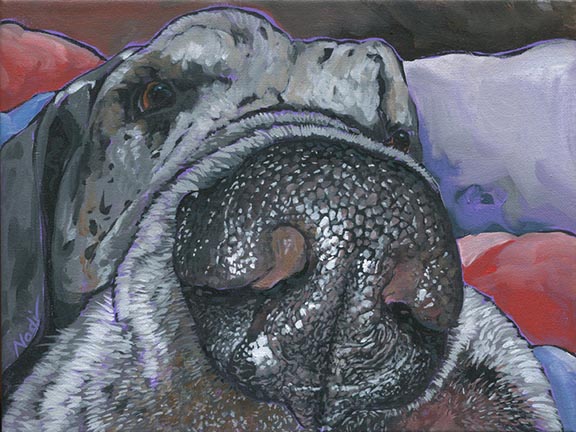 NS – Dogs, Great Dane – 20-36 Oliver 9×12 © Nadi Spencer