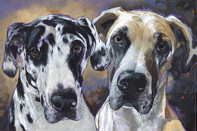 NS – Dogs, Great Dane – 23-37 Truntz Danes 10×15 © Nadi Spencer