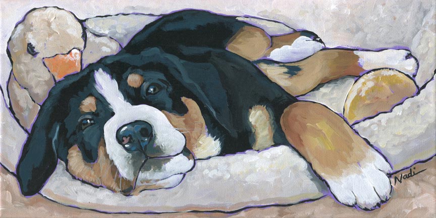 NS – Dogs, Greater Swiss Mountain Dog – 18-22 Georgie 8×16 © Nadi Spencer