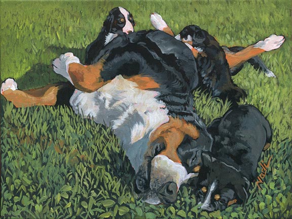 NS – Dogs, Greater Swiss Mountain Dog – 20-30 Swissie Mom 12×9 © Nadi Spencer