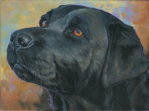 NS – Dogs, Labrador Retriever – 21-231 Hall 9×12 © Nadi Spencer