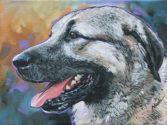 NS – Dogs, Livestock Breeds, Anatolian Shepherd – 19-293 Seven-Anatolian 9×12 © Nadi Spencer