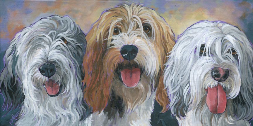 NS – Dogs, Polish Lowland Sheep – 20-122 Wyn, Rory & Lyra 10×20 © Nadi Spencer