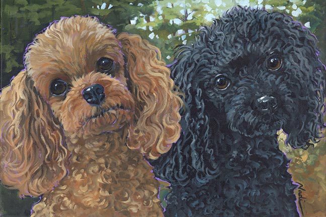 NS – Dogs, Poodle – 23-72 2 Poodles 10×15 © Nadi Spencer