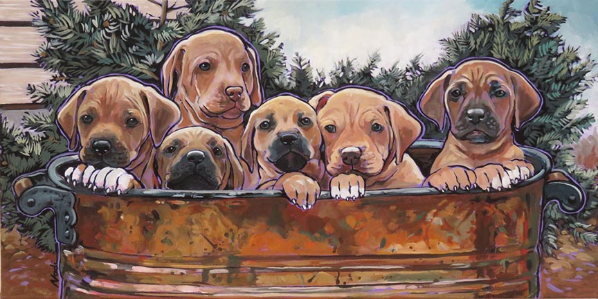 NS – Dogs, Rhodesian Ridgeback, Puppies – 15-80 Rhodesian Ridgeback Puppies 15×30 © Nadi Spencer