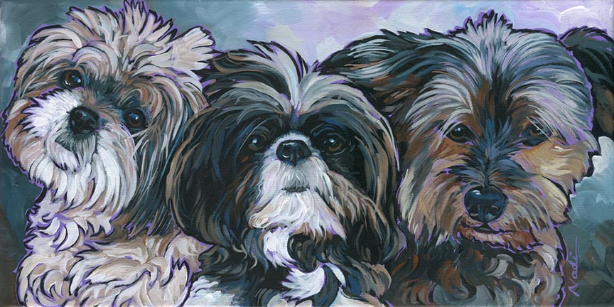 NS – Dogs, Shih Tsu – 14-135 Wheatley 10×20 © Nadi Spencer