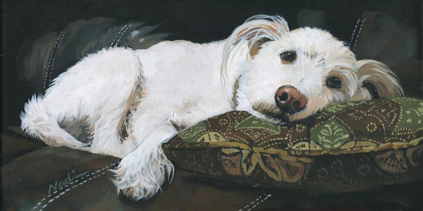 NS – Dogs, Small Shaggy Breed – 18-132 Fergus 8×16 © Nadi Spencer