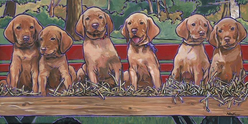 NS – Dogs, Vizsla, Puppies – 15-250 Vizsla Pups 13×26 © Nadi Spencer