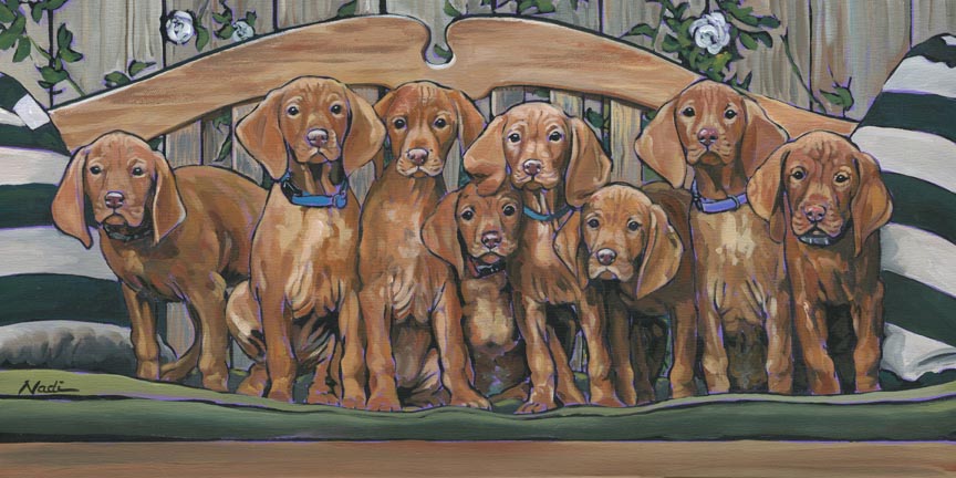 NS – Dogs, Vizsla Puppies – 18-120 Elite Eight 12×24 © Nadi Spencer