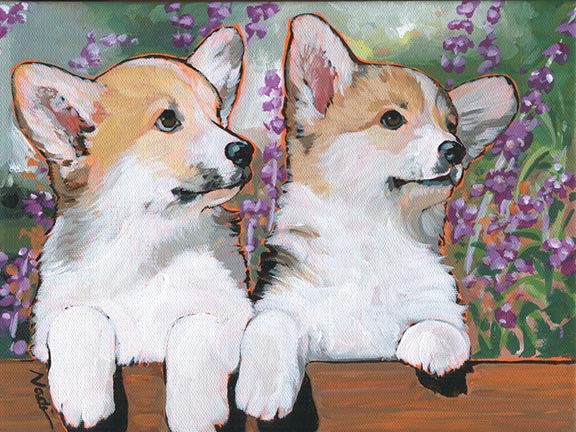 NS – Dogs, Welsh Corgi – 18-54 Corgi Pups 12×9 © Nadi Spencer