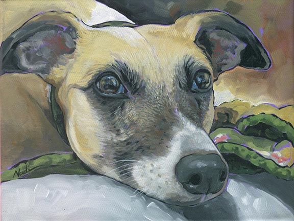 NS – Dogs, Whippet – 21-23 Whippet 9×12 © Nadi Spencer