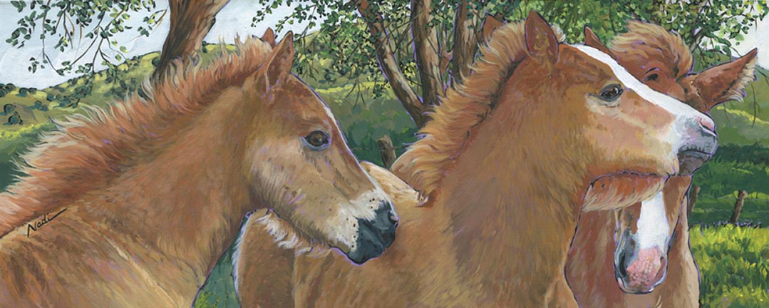 NS – Horses – 18-88 Three Colts 12×30 © Nadi Spencer