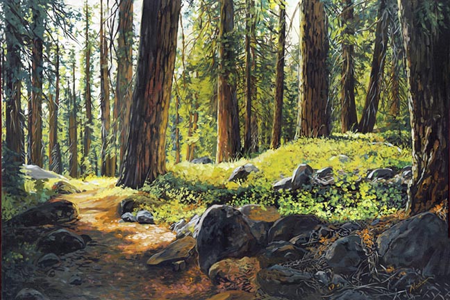 NS – Landscape, Sequoia – 22-37 Walk in the Forest 24×36 © Nadi Spencer