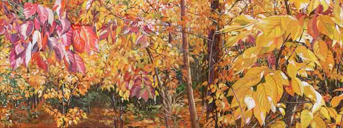 NS – Landscape, Three Rivers – 14-102 Long Wild Persimmons 10×26 © Nadi Spencer