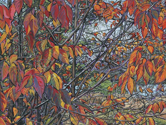 NS – Landscape, Three Rivers – 16-211 Wild Persimmons 18×24 © Nadi Spencer