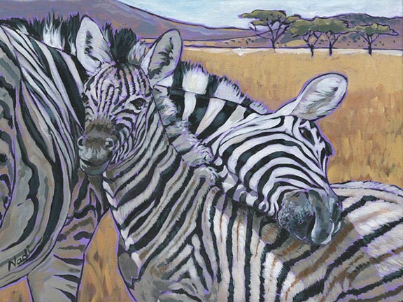 NS – Wildlife – 17-122 Zebras © Nadi Spencer