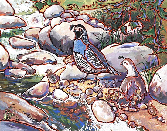 NS – Wildlife, Quail – 12-77 Quail Family 11×14 © Nadi Spencer