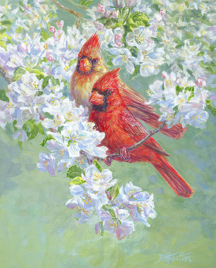 BH2 – Blossoms of Spring – Cardinals © Beth Hoselton