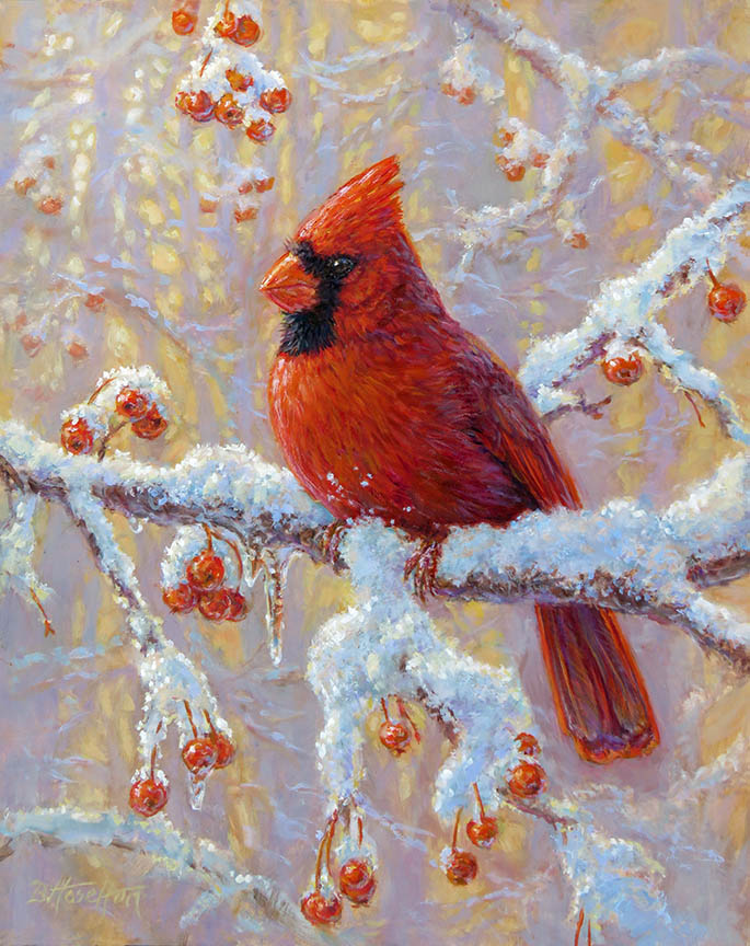 BH2 – The Joy of Winter – Cardinal © Beth Hoselton